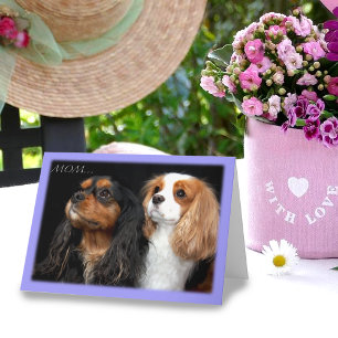 Carte On Mothers Day Two Cavalier King Charles Spaniel