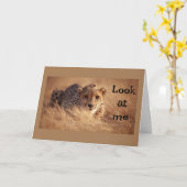 CARTE ON NE CROIT PAS QUE "VOUS" AYEZ "16" ANS (Fleur jaune)