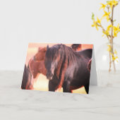 CARTE ONAQUI HERD WILSE HORSE GREETING CARD (Fleur jaune)