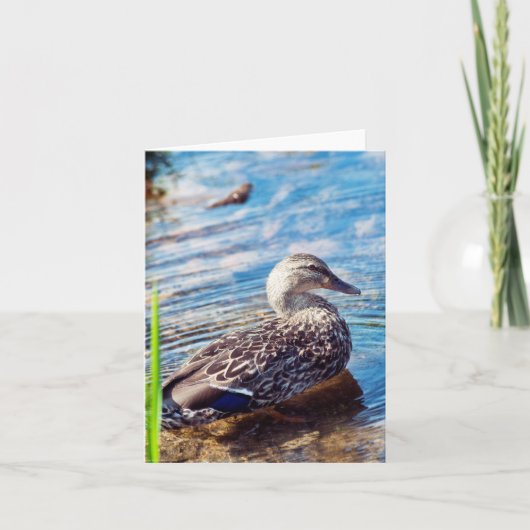 Carte Ondulations (Devant)