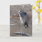 Carte One (Fleur jaune)