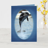 Carte One Orca at Marineland (France) (Fleur jaune)