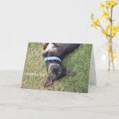 Carte Ooh-la-Chihuahua (Fleur jaune)