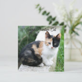 Carte Opera Phantom Chat (Debout devant)