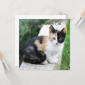 Carte Opera Phantom Chat (Devant/Arrière en situation)