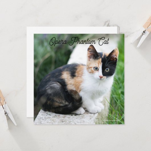 Carte Opera Phantom Chat (Devant/Arrière en situation)