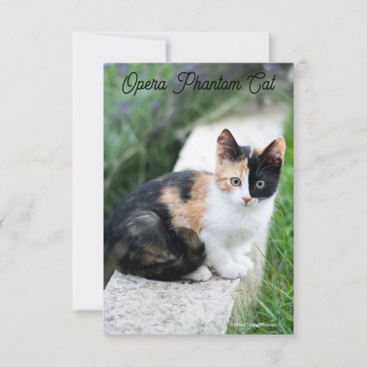 Carte Opera Phantom Chat (Devant)