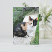 Carte Opera Phantom Chat (Debout devant)