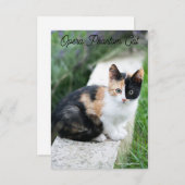 Carte Opera Phantom Chat (Devant / Derrière)