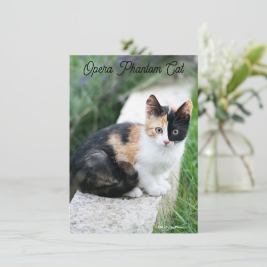 Carte Opera Phantom Chat (Debout devant)