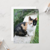 Carte Opera Phantom Chat (Devant/Arrière en situation)