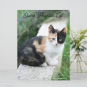 Carte Opera Phantom Chat (Debout devant)