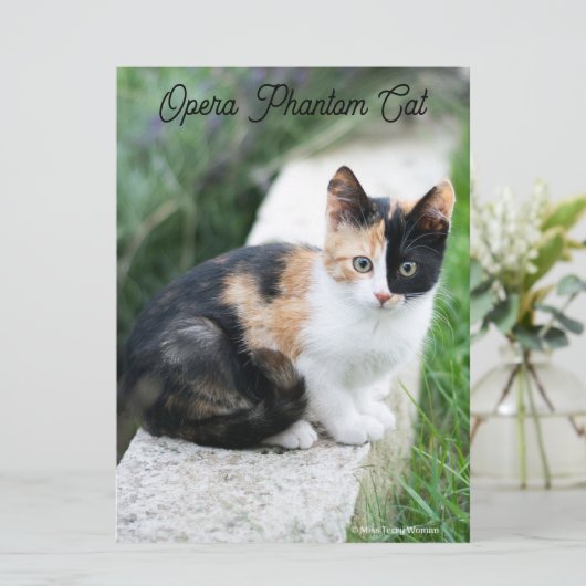 Carte Opera Phantom Chat (Debout devant)