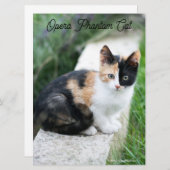 Carte Opera Phantom Chat (Devant / Derrière)