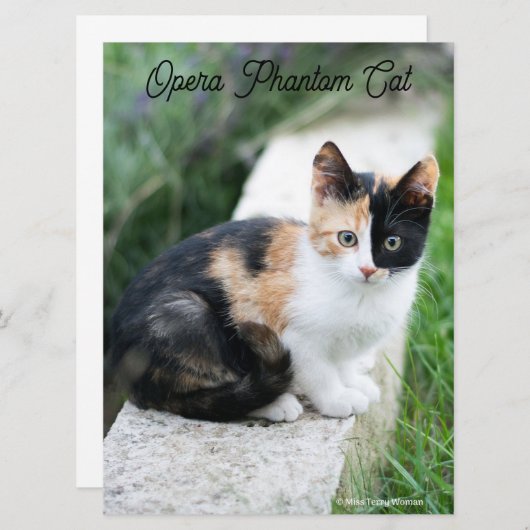 Carte Opera Phantom Chat (Devant / Derrière)