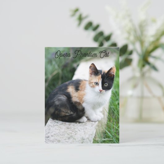 Carte Opera Phantom Chat (Debout devant)