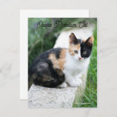 Carte Opera Phantom Chat (Devant / Derrière)