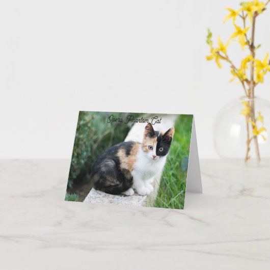 Carte Opera Phantom Chat (Fleur jaune)