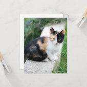 Carte Opera Phantom Chat (Devant/Arrière en situation)