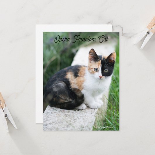 Carte Opera Phantom Chat (Devant/Arrière en situation)