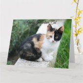 Carte Opera Phantom Chat (Fleur jaune)