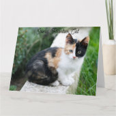 Carte Opera Phantom Chat (Devant)