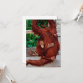 Carte orang-outan de Bornéo (Devant/Arrière en situation)