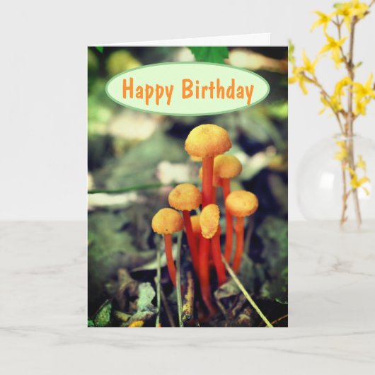 Carte Orange Champignons Nature Anniversaire (Fleur jaune)