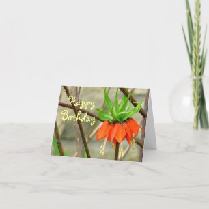 CARTE ORANGE COURONNE FLEURS IMPÉRIALES / SOUHAITS D'ANN