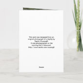 Carte Orange Day Photo Joyeux Anniversaire (Dos)