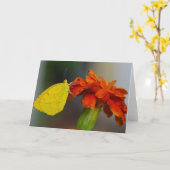 Carte Orange dormant (Fleur jaune)