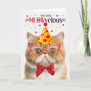 Carte Orange Exotic Shorthair Cat MEOWvelous Anniversair