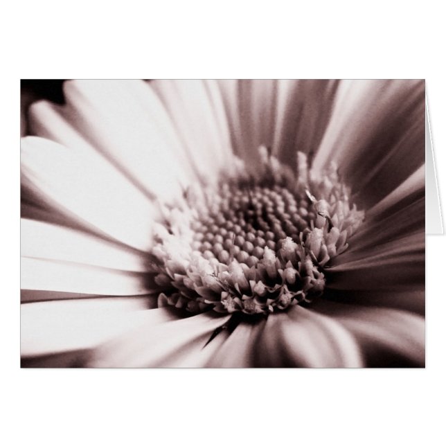 Carte orange frais (mono) (Devant horizontal)