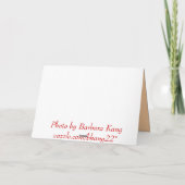 Carte Orange Gerber Daisy (Dos)