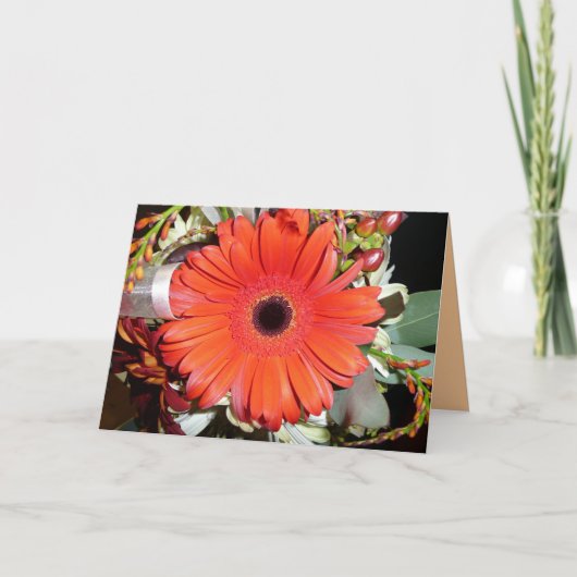 Carte Orange Gerber Daisy (Devant)