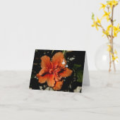 Carte Orange Hibiscus Fée d'ombre (Fleur jaune)