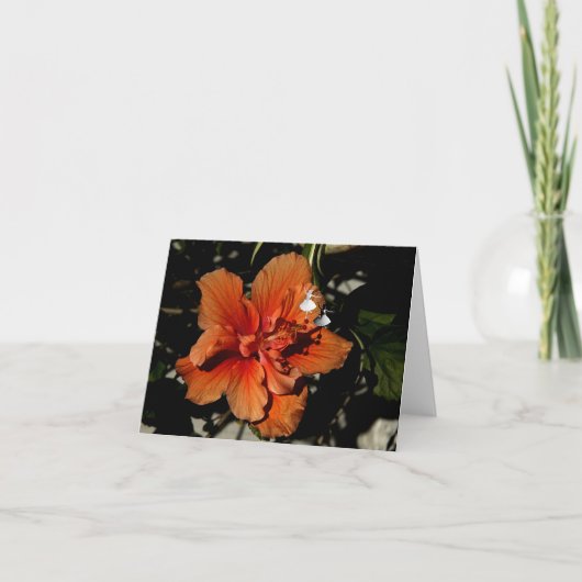 Carte Orange Hibiscus Fée d'ombre (Devant)