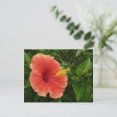 Carte Orange Hibiscus Fleur Tropical Floral (Debout devant)