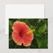 Carte Orange Hibiscus Fleur Tropical Floral (Devant / Derrière)