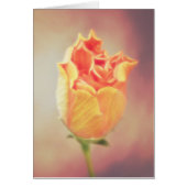 Carte Orange Hibiscus Flower Bloom (Devant)