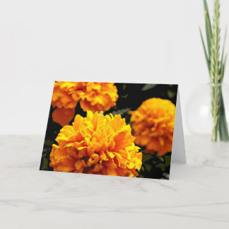 Carte "Orange Marigolds"