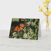 Carte Orange Noir Monarque Papillon Nature Photographie (Fleur jaune)