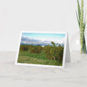 Carte Orange Orchard, Valence, Espagne (Devant)