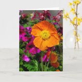 Carte Orange Poppy (Fleur jaune)