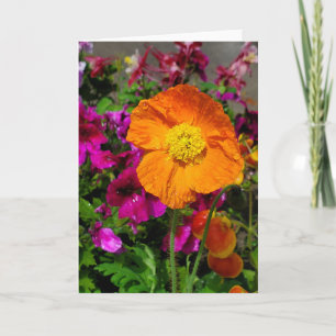 Carte Orange Poppy