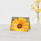 Carte Orange Spring Flash African Daisy Close Up Photo (Fleur jaune)