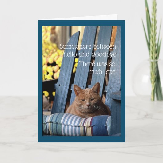 Carte Orange Tabby Cat on Blue Chair Card (Devant)