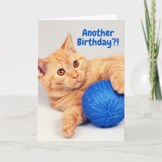 Carte Orange Tabby have a Ball (of yarn) Birthday Card (Devant)