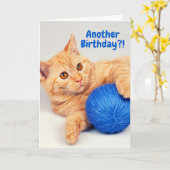 Carte Orange Tabby have a Ball (of yarn) Birthday Card (Fleur jaune)