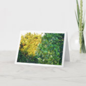 Carte Oranges non mûries sur l'arbre (Devant)